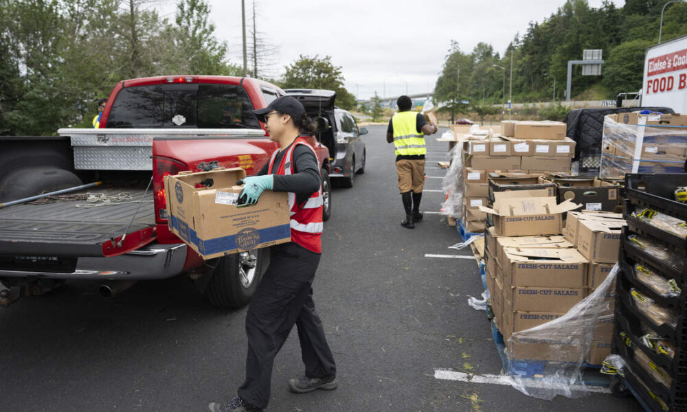 A volunteer in a red vest loads a cardboard box from a red pickup truck at a food drive, with stacked donation boxes nearby.