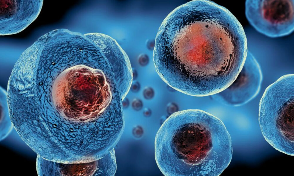 Close-up view of blue circular cells with red centers, floating in a dark blue background, resembling microscopic biology imagery.