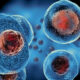 Close-up view of blue circular cells with red centers, floating in a dark blue background, resembling microscopic biology imagery.
