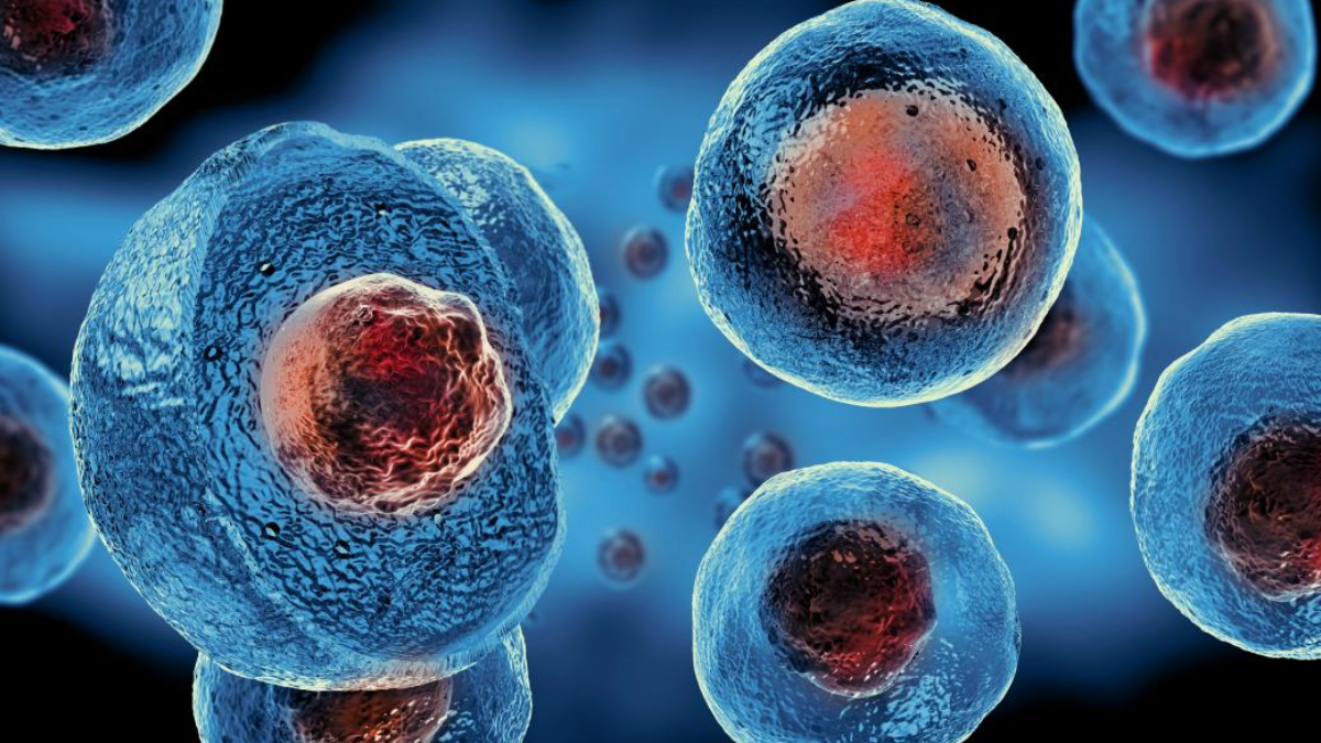 Close-up view of blue circular cells with red centers, floating in a dark blue background, resembling microscopic biology imagery.