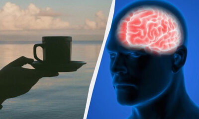 Split image: a hand holding a coffee cup over a calm sea at sunset, and a glowing brain inside a blue head outline representing brain activity.