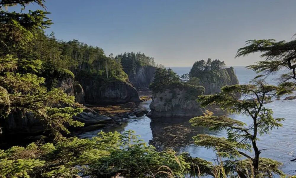 Coastal forested cliffs and rocky sea stacks along a calm inlet by the ocean.