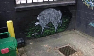 Graffiti of a gray boar walking on green ground painted on a dark brick wall in an alley, near a drain and trash bin.