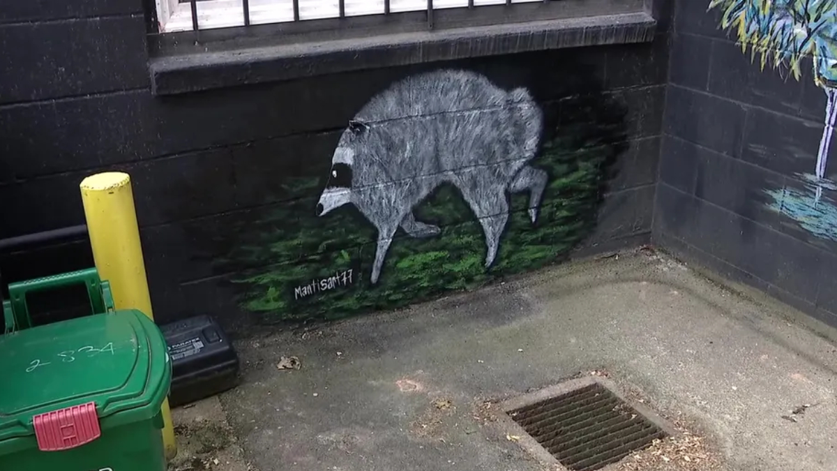 Graffiti of a gray boar walking on green ground painted on a dark brick wall in an alley, near a drain and trash bin.