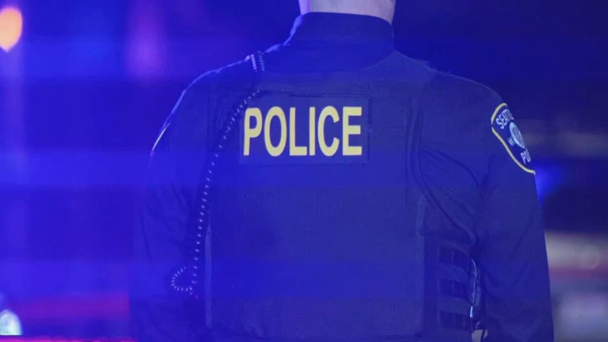 Back view of a police officer wearing a dark tactical vest with the word POLICE in yellow on the back, blue emergency lights visible in the surroundings.