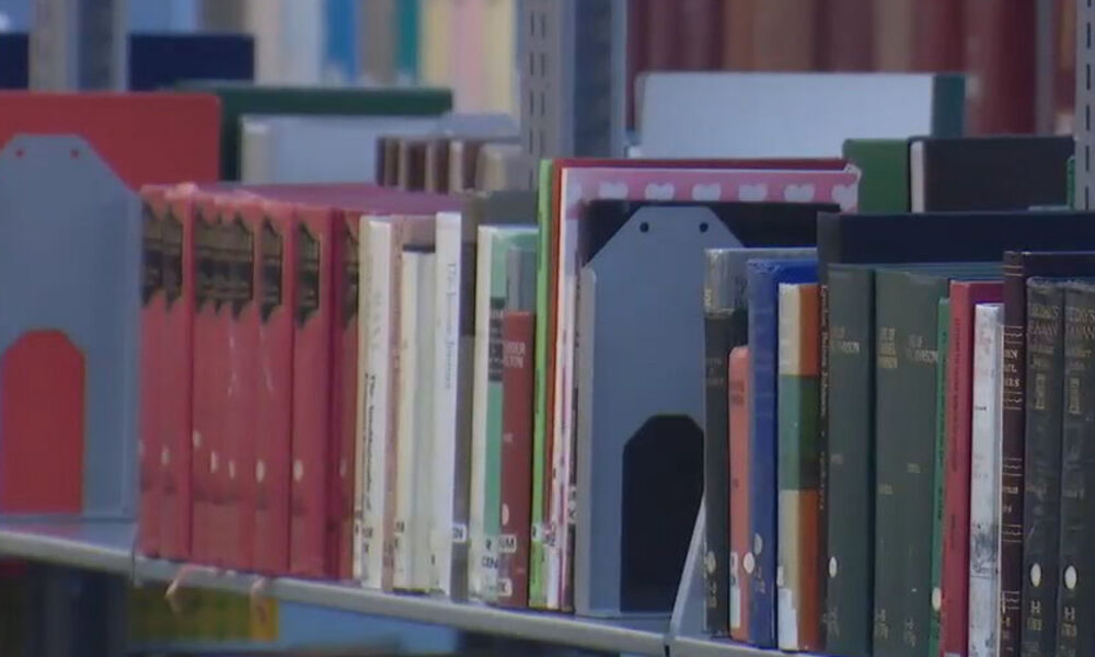 Row of colorful hardcover books on a library shelf, with blue book ends and assorted bindings visible