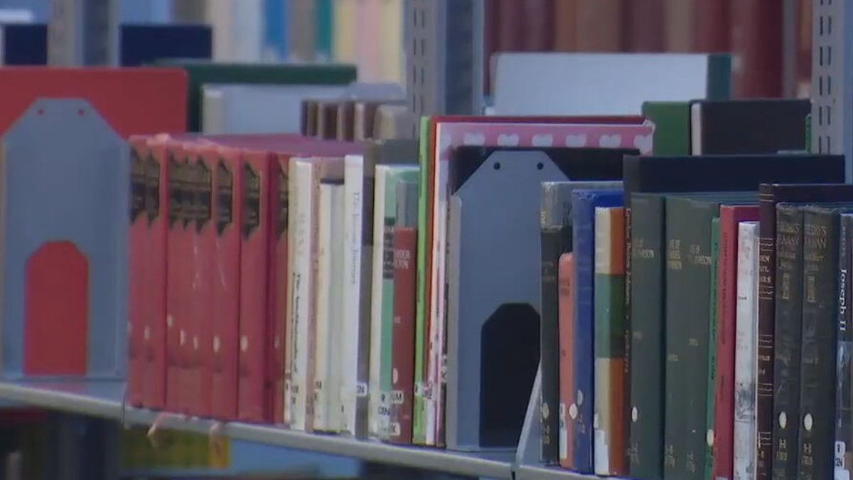 Row of colorful hardcover books on a library shelf, with blue book ends and assorted bindings visible