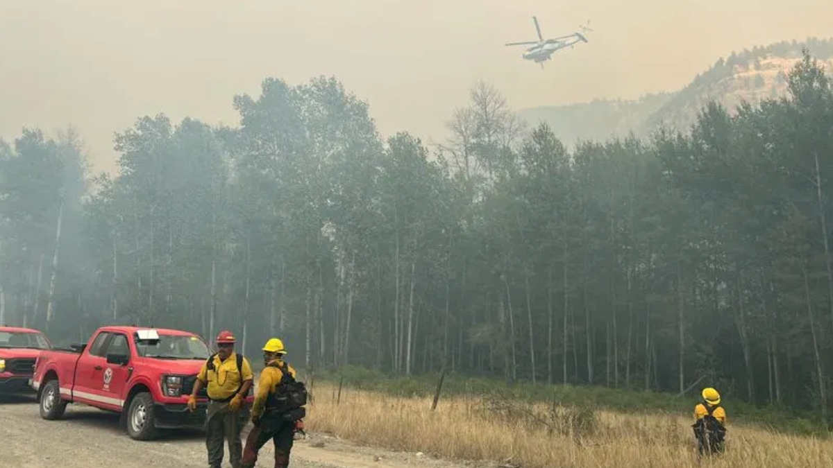 Firefighters in yellow gear walk near smoke-filled forest with a helicopter overhead and red trucks nearby on a dirt road.