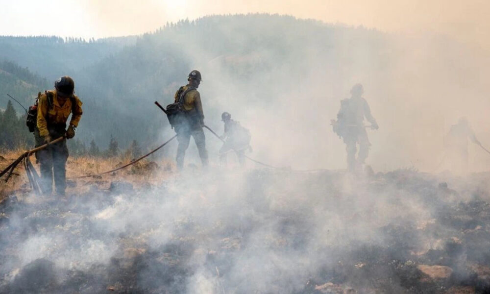 Firefighters in yellow gear using hoses to fight a smoky wildfire in a hilly landscape.