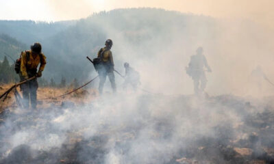 Firefighters in yellow gear using hoses to fight a smoky wildfire in a hilly landscape.