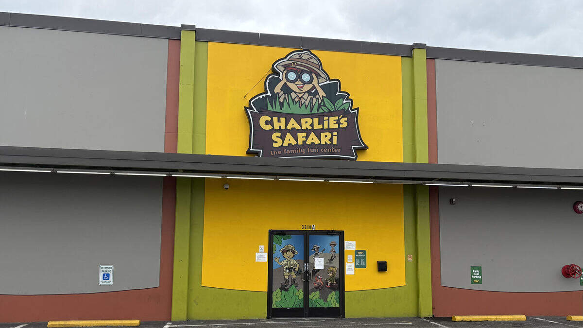 Bright yellow storefront with a large Charlie's Safari sign above the entrance and a double glass door featuring jungle cartoon characters outside a green and yellow facade