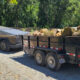 Cybertruck-style pickup towing a black log-filled trailer on a gravel driveway with trees in the background.