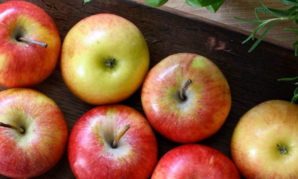 Assorted red and yellow apples arranged on a dark wooden board with green leaves in the corner.