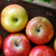 Assorted red and yellow apples arranged on a dark wooden board with green leaves in the corner.