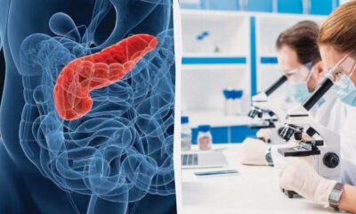 Split image: a red-highlighted colon inside the abdomen on the left, and scientists examining samples under microscopes in a lab on the right.