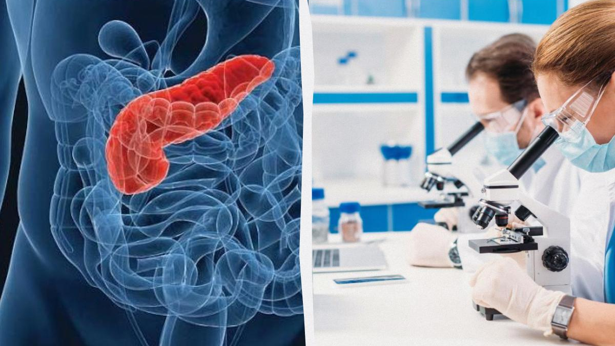 Split image: a red-highlighted colon inside the abdomen on the left, and scientists examining samples under microscopes in a lab on the right.