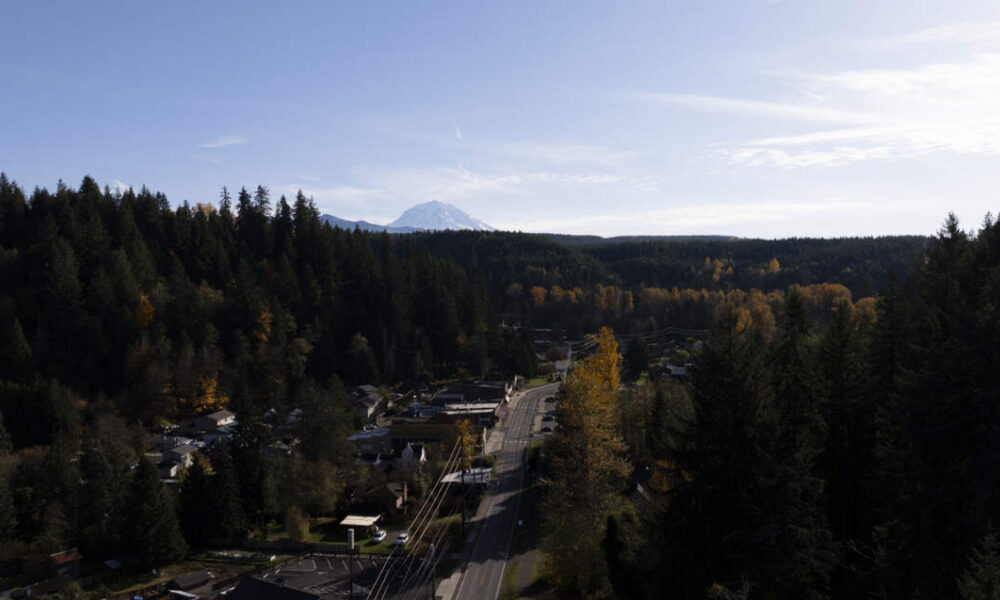 Aerial view of a small town along a main road bordered by dense evergreen trees, with a distant snow-capped mountain under a clear blue sky.