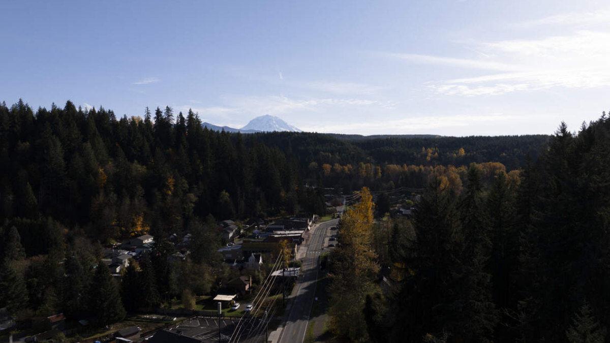 Aerial view of a small town along a main road bordered by dense evergreen trees, with a distant snow-capped mountain under a clear blue sky.