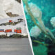 Split-scene: Antarctic research base with red buildings on rocky shore, snowfields in the background, calm water in foreground.