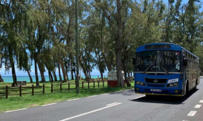 Blue tour bus driving along a coastal road with trees and the sea in the background.
