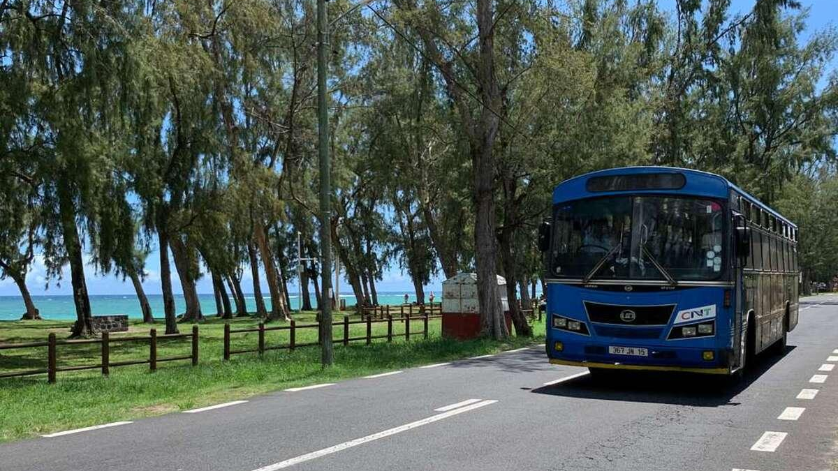 Blue tour bus driving along a coastal road with trees and the sea in the background.