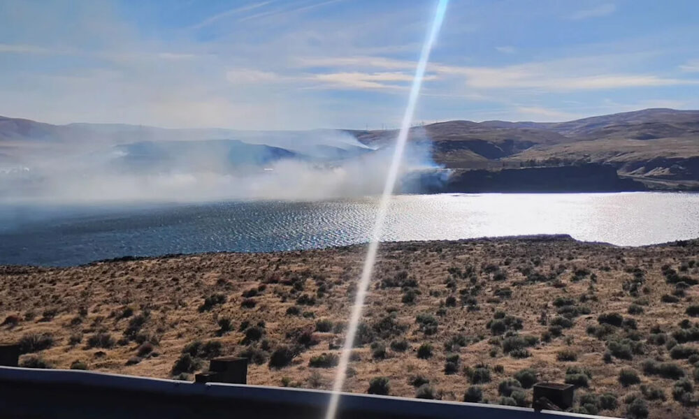 Desert shoreline with sparse shrubs, a sunlit lake, and distant brown hills under a clear blue sky.
