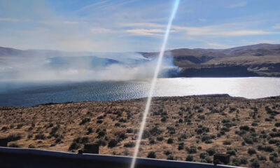 Desert shoreline with sparse shrubs, a sunlit lake, and distant brown hills under a clear blue sky.