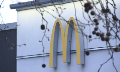 McDonald's golden arches logo on the side of a building, with tree branches in the foreground outside a fast-food restaurant