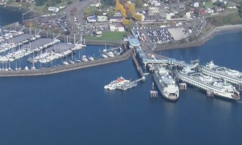 Aerial view of a marina with numerous sailboats docked at piers and a large ferry terminal along the waterfront.