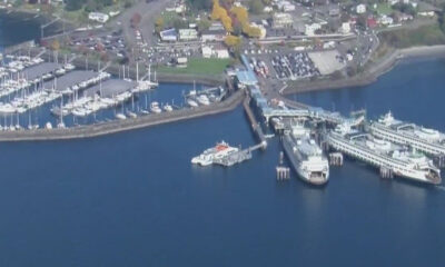 Aerial view of a marina with numerous sailboats docked at piers and a large ferry terminal along the waterfront.