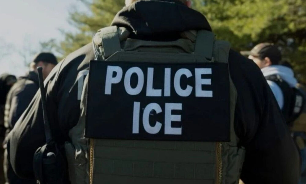Back view of a law enforcement officer wearing a tactical vest with a 'POLICE ICE' patch.