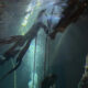 Underwater scene with several fish swimming among hanging ropes and rocky walls, light filtering from above.