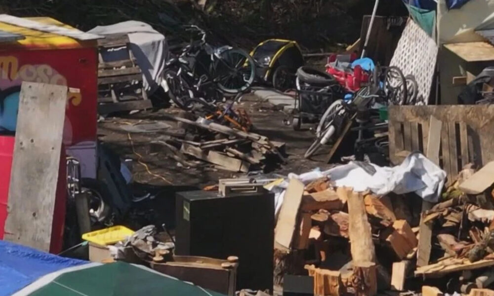 Chaotic outdoor junk pile with bikes, wood, bricks, and scattered debris in a cluttered yard.