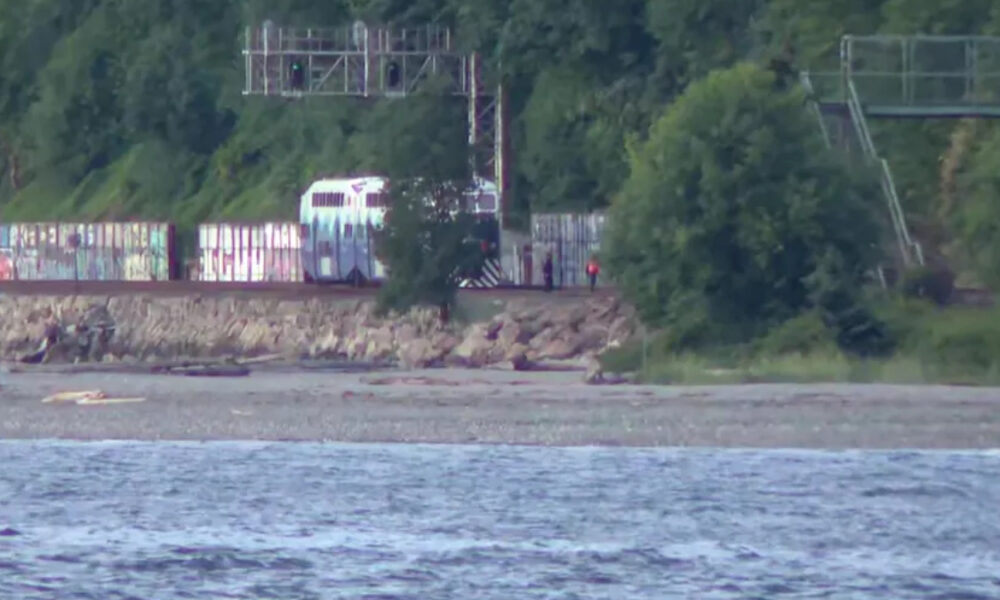 Freight train cars along a track beside a rocky riverbank, with a person in a red jacket near the cars and trees in the background