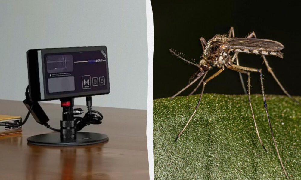 Split image: left shows a small electronic device on a stand, right shows a mosquito perched on a green leaf.