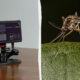 Split image: left shows a small electronic device on a stand, right shows a mosquito perched on a green leaf.