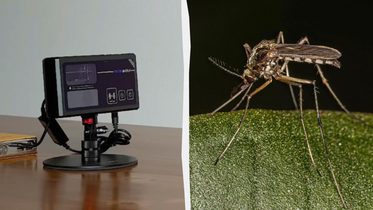 Split image: left shows a small electronic device on a stand, right shows a mosquito perched on a green leaf.