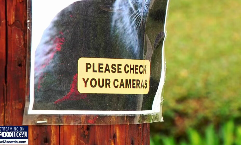 Poster on a wooden post reading 'PLEASE CHECK YOUR CAMERAS' with a Fox Local logo in the corner.