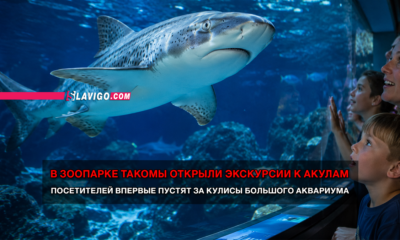 новости штата Вашингтон на slavigo.com