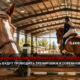 Indoor riding arena with a rider jumping a horse over a obstacle; foreground horse gazes toward the camera; overlaid red-and-white Russian text announces the new equestrian complex opening at Frontier Park and that trainings and competitions will be held there.