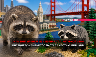 новости штата Вашингтон на slavigo.com