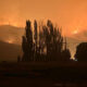 A wildfire burning across hills at sunset, with orange sky and smoke behind tall trees in a rural landscape.