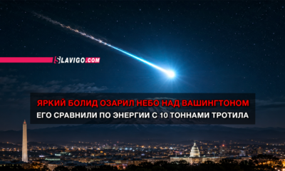 свежие новости сиетла только на slavigo.com