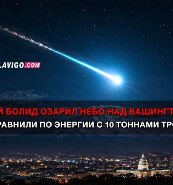 свежие новости сиетла только на slavigo.com