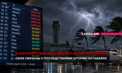 Airport departure board shows many CANCELED and DELAYED flights at night, with a stormy sky and a parked jet in the background; news overlay in Russian.
