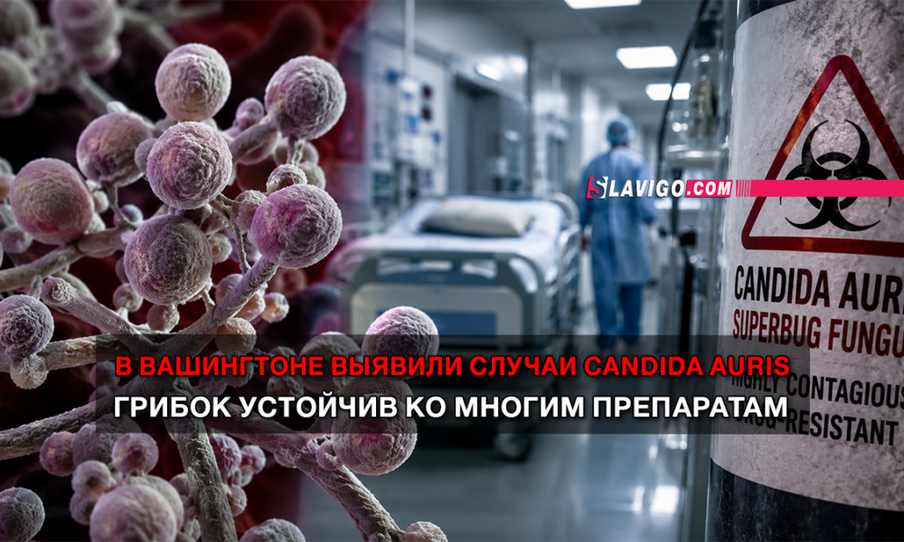 читай свежие новости Сиэтла и пригорода на slavigo.com