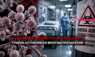 читай свежие новости Сиэтла и пригорода на slavigo.com