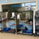 Caged cats at a shelter labeled 'Cat Country Club' with bedding, toys, and blue bins on wheels in front of a blue wall window.