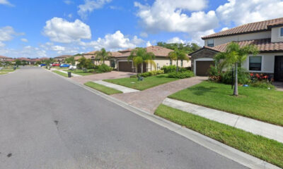 Suburban street scene with single-family homes, green lawns, and palm trees under a blue sky.