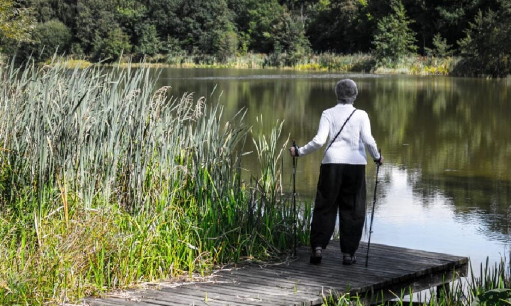 Older person in a white top stands on a wooden dock by a calm lake, using hiking poles among tall reeds.